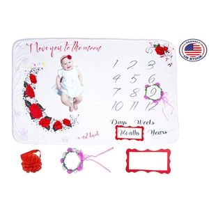 Baby Monthly Milestone Blanket